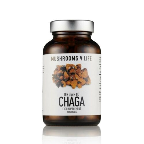Chaga biologisch paddenstoelen capsules 24gr 60caps mushrooms 4 life 1 1